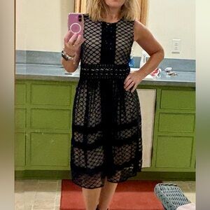 Sundance Navy Lace Midi Dress